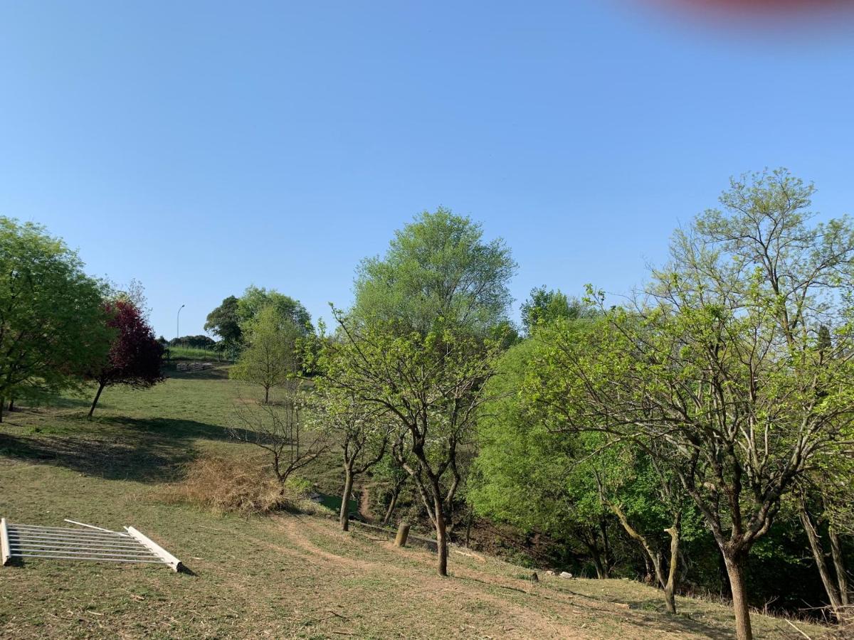 Villa Nicoletta Isidoro Verona Esterno foto